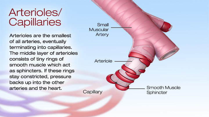 Blood Pressure Topics